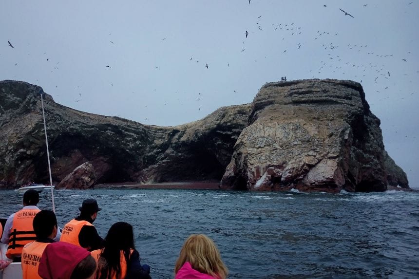 Excursión a las Islas Ballestas