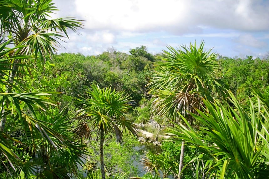 naturaleza en Xel-Há