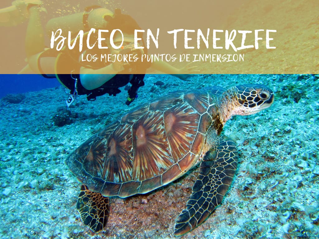 Buceo en Tenerife, los mejores puntos de inmersión