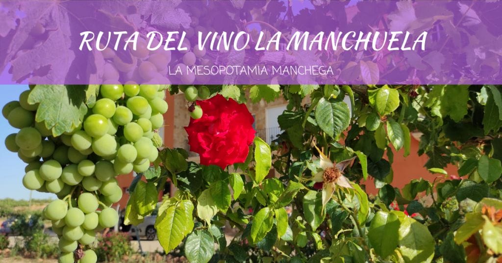 Ruta del Vino La Manchuela