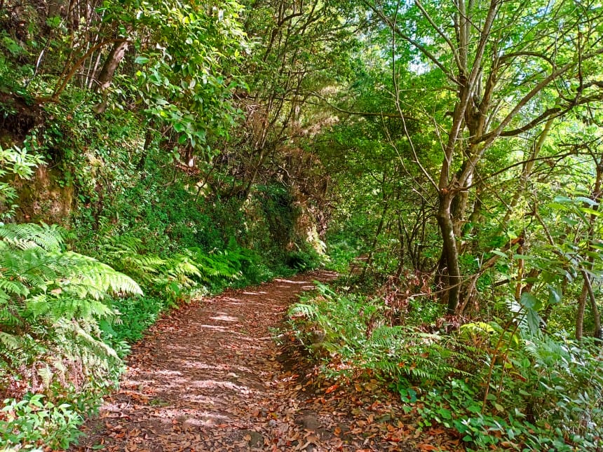 Ruta por el Cubo de la Galga