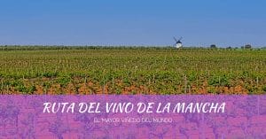 Ruta del Vino de La Mancha, el mayor viñedo del mundo