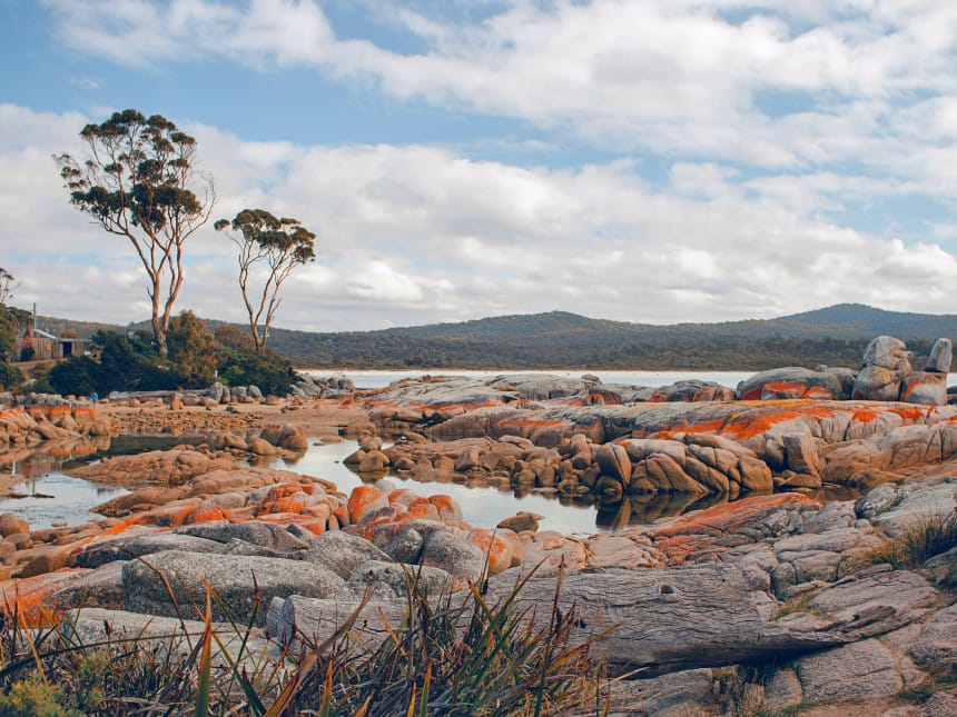 Tasmania