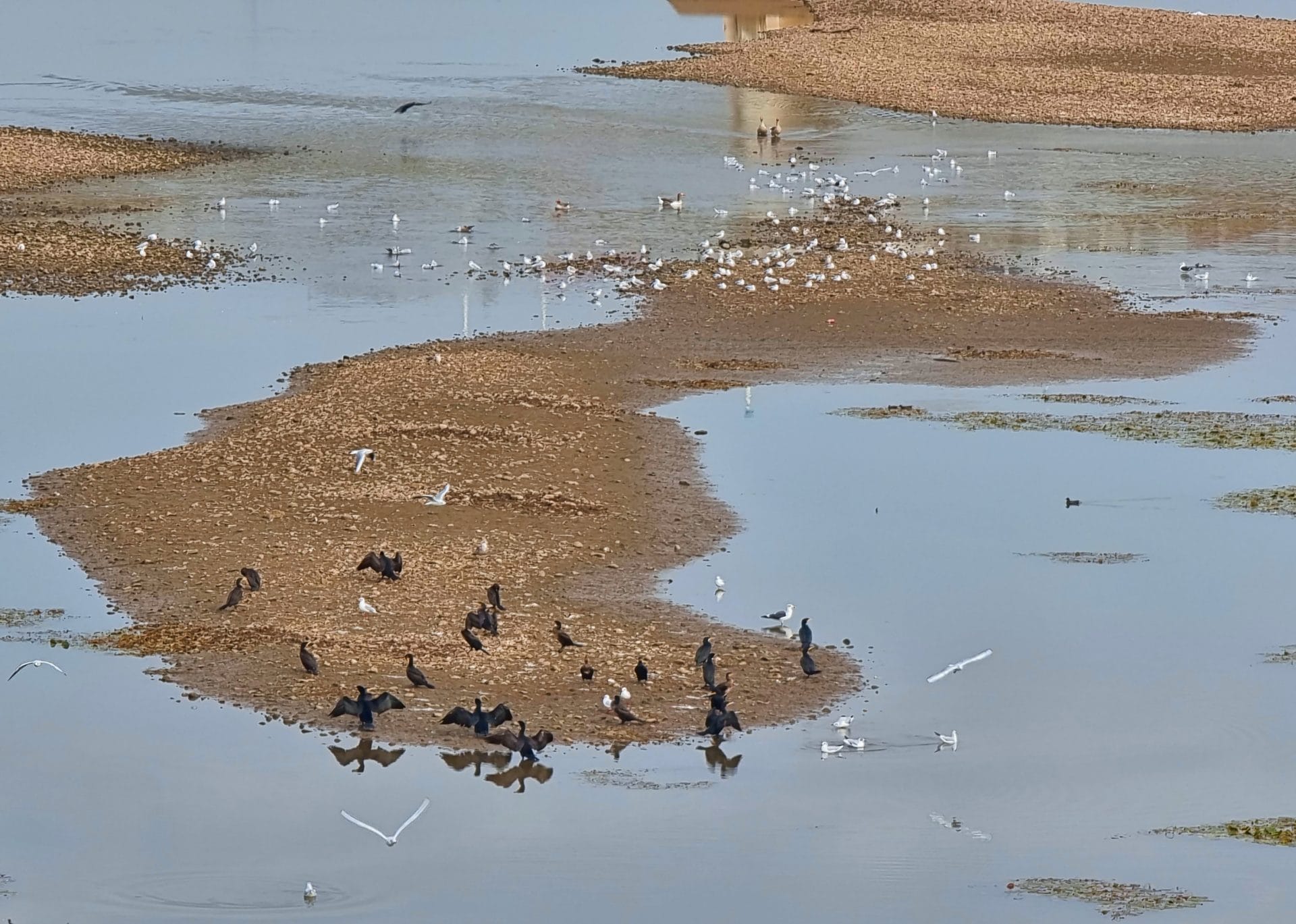 Badajoz ciudad de las aves