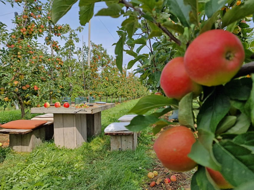 Dónde comer turismo naturaleza Limburgo - Jorishoeve